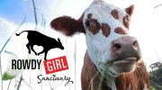 rowdy girl sanctuary