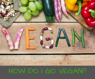 HOW DO I GO VEGAN?