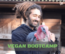 VEGAN BOOTCAMP