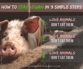 how to stay vegan in 3 simple steps. love animals don't eat them.